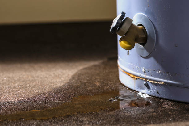 Best Sewage Cleanup and Restoration in USA