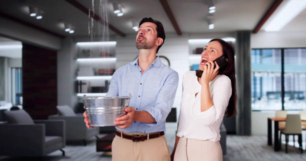 Best Ceiling and Wall Water Damage Repair in USA